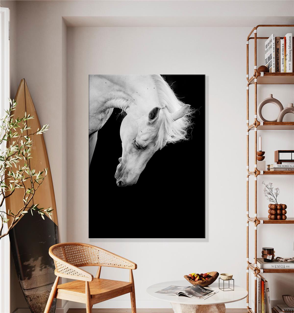 Karanlıktaki Beyaz At Kanvas Baskı Tablo