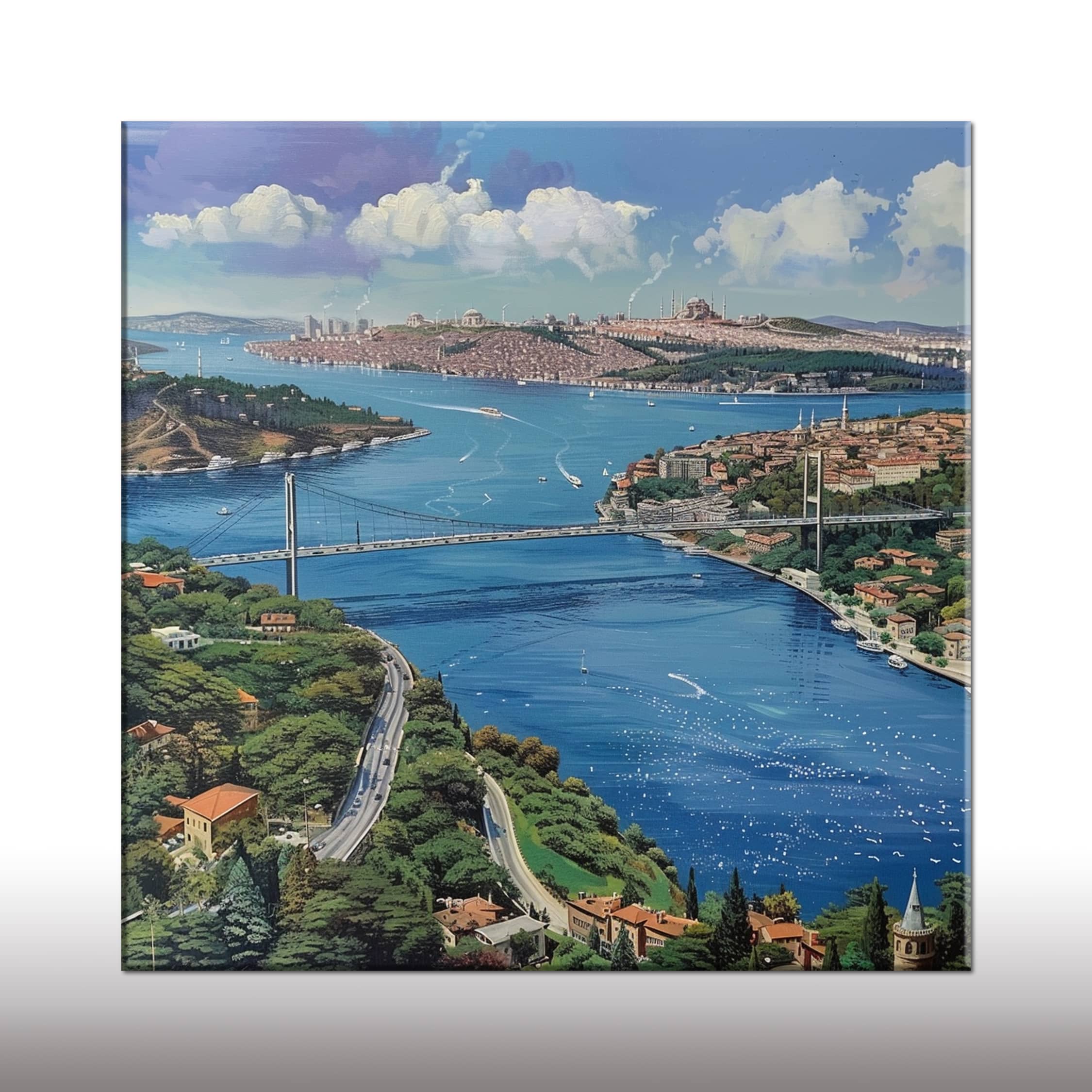 Tepeden İstanbula Bakış 