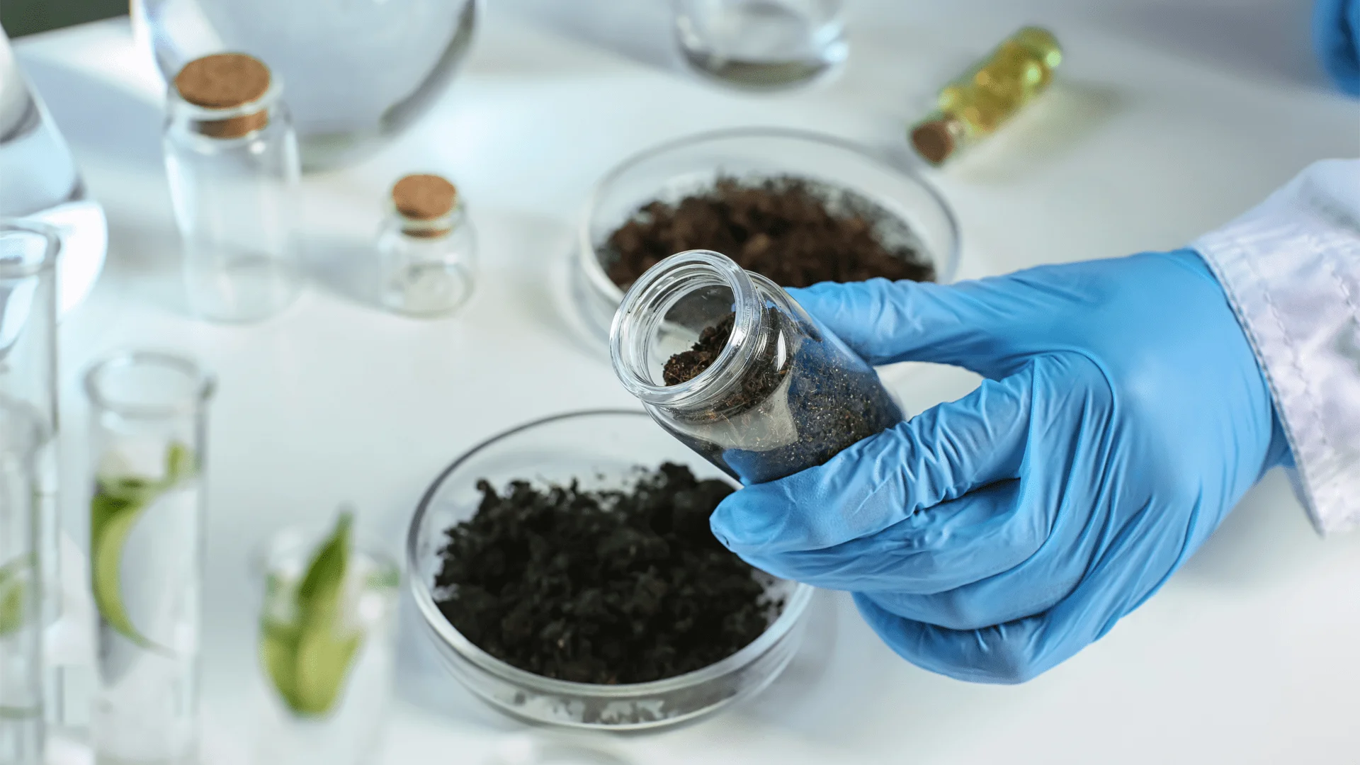 Kauçuk Antioksidanları Nedir? Performans ve Dayanıklılığa Etkileri